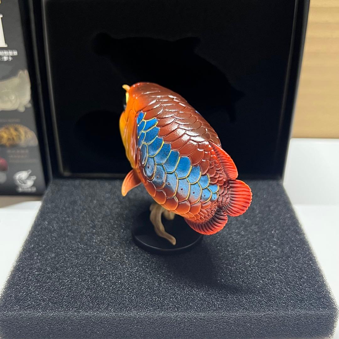 動物の惑星　レア　アジアアロワナ