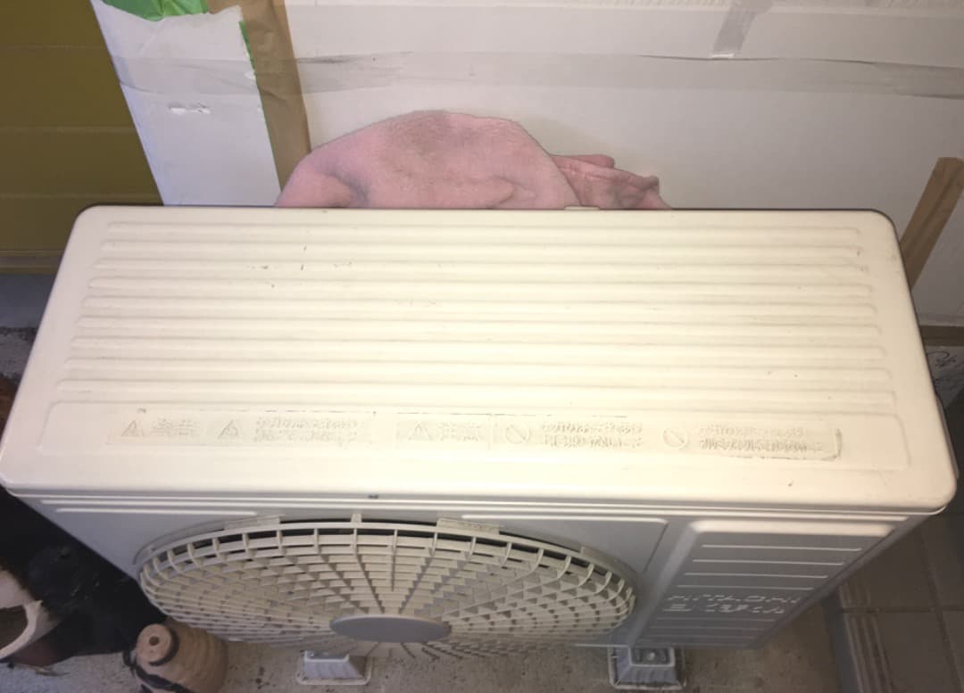 日立 白くまくん エアコン おもに18畳用 RAS-WBK56H2-W リモコン