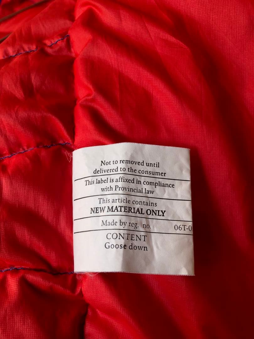 激レア！着てるだけでオシャレ確定！ヴィンテージブルー！パタゴニアダウンベストL！