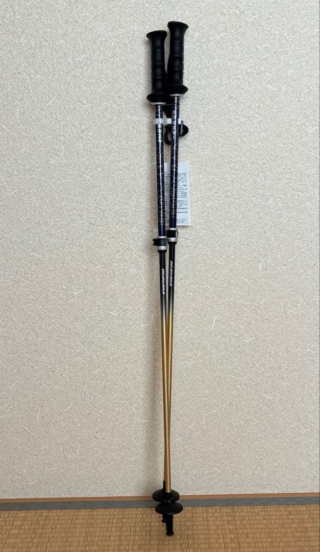 OGASAKA スキーストック