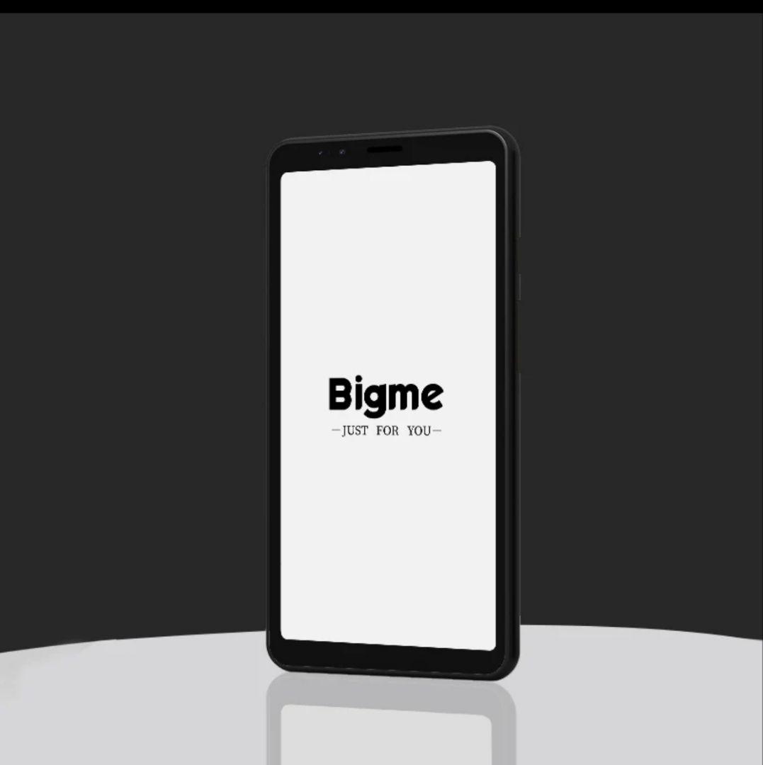 Bigme Hibreak 電子書籍リーダー 本体　ケース付