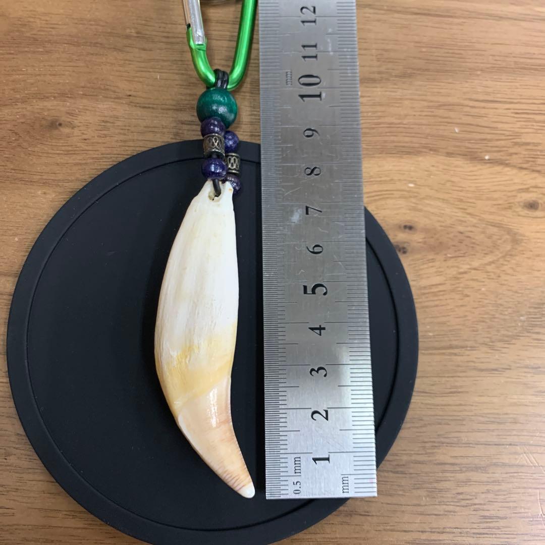 ヒグマ 熊 キバ 牙 キーホルダー