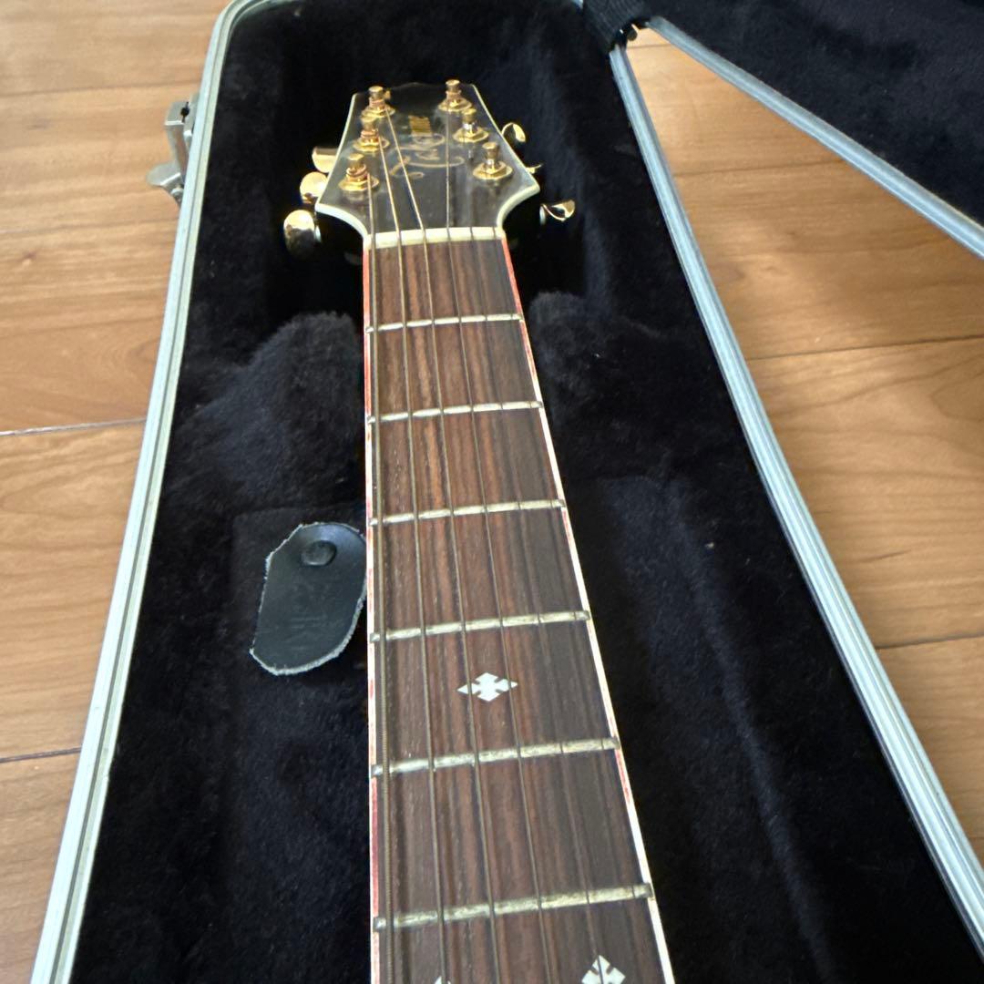 ギター Takamine DSP-110