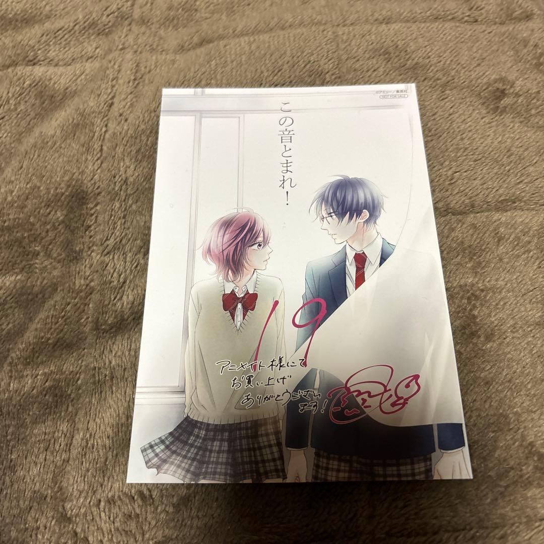 この音とまれ！ 全巻 1-33巻 アミュー 初版本多数 アニメ化