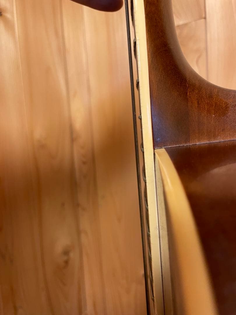 Morris アコースティックギター Md-507