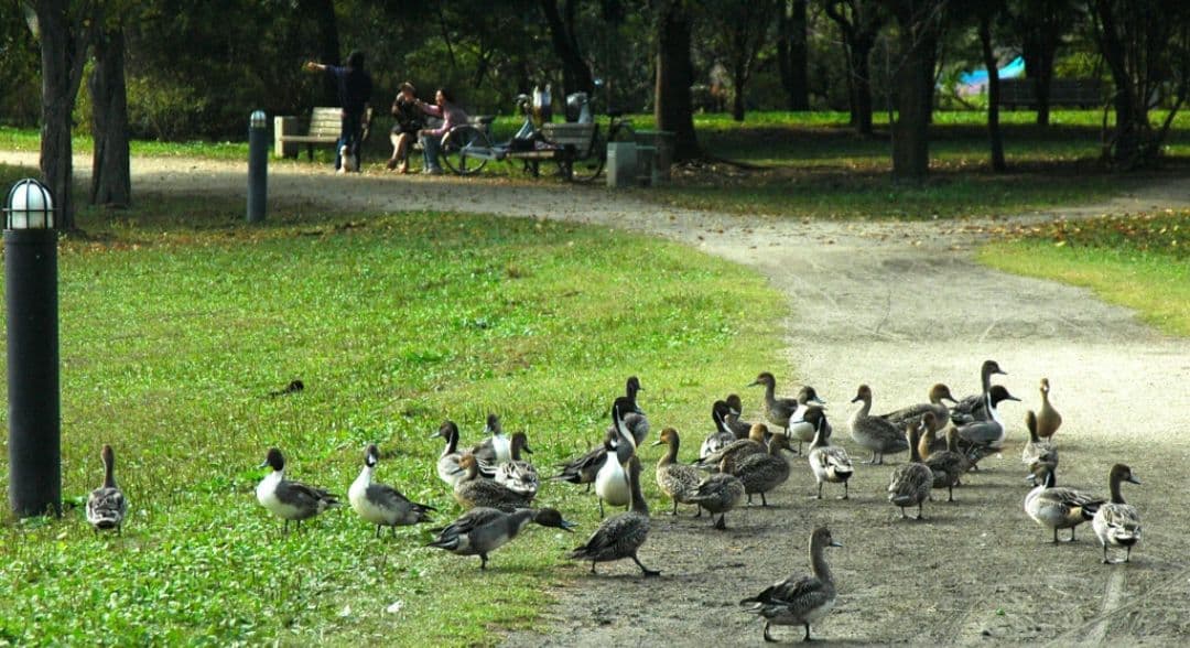 maomao様　　NIKON　D70　ダブルレンズ⚡️初心者⚡️ニコン⚡️