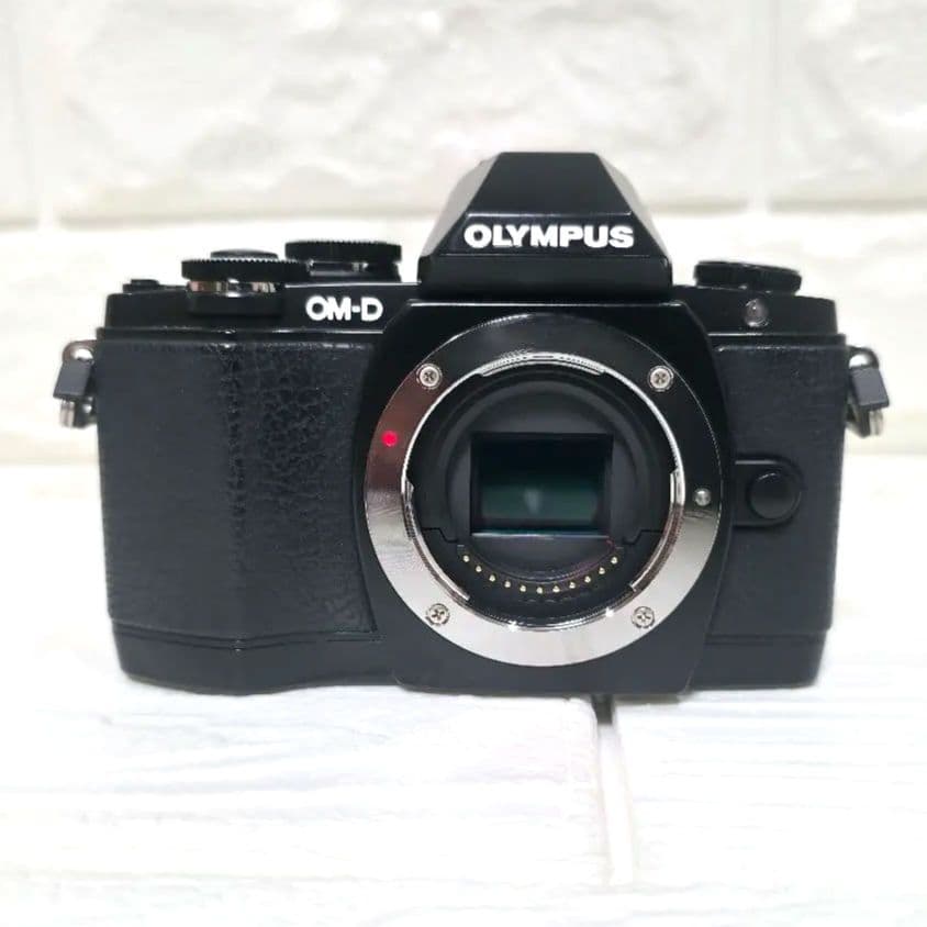 481美品】OLYMPUS OM-D E-M10 MarkⅡ ダブルズームキット