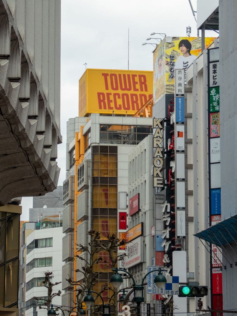 Panasonic LUMIX TZ60（作例あり）