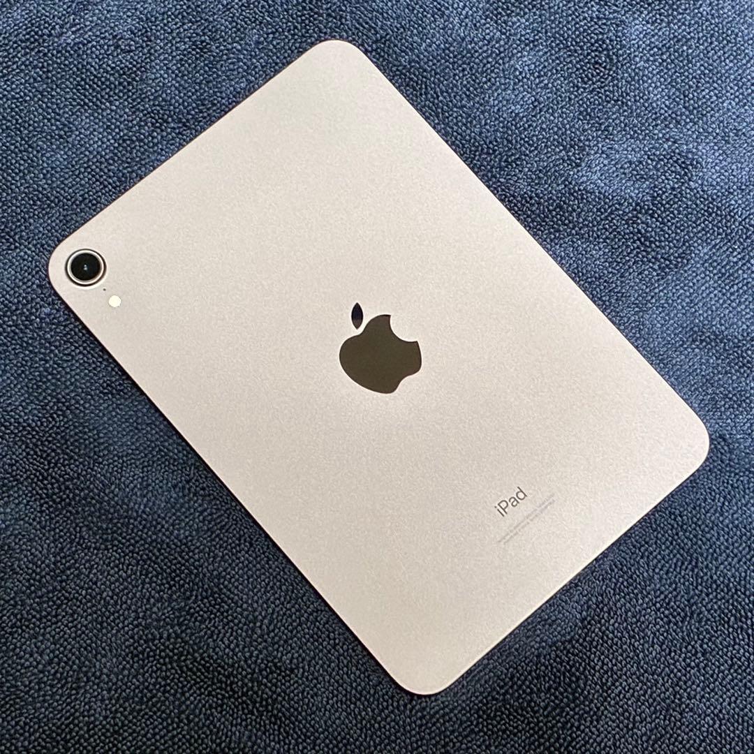 【極美品】 Apple iPad mini 64GB スペースグレイ Wi-Fi