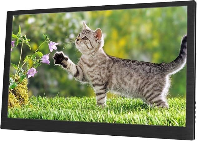 ら*ん様 14インチ 4K IPSモニター 本体 保護カバーつき