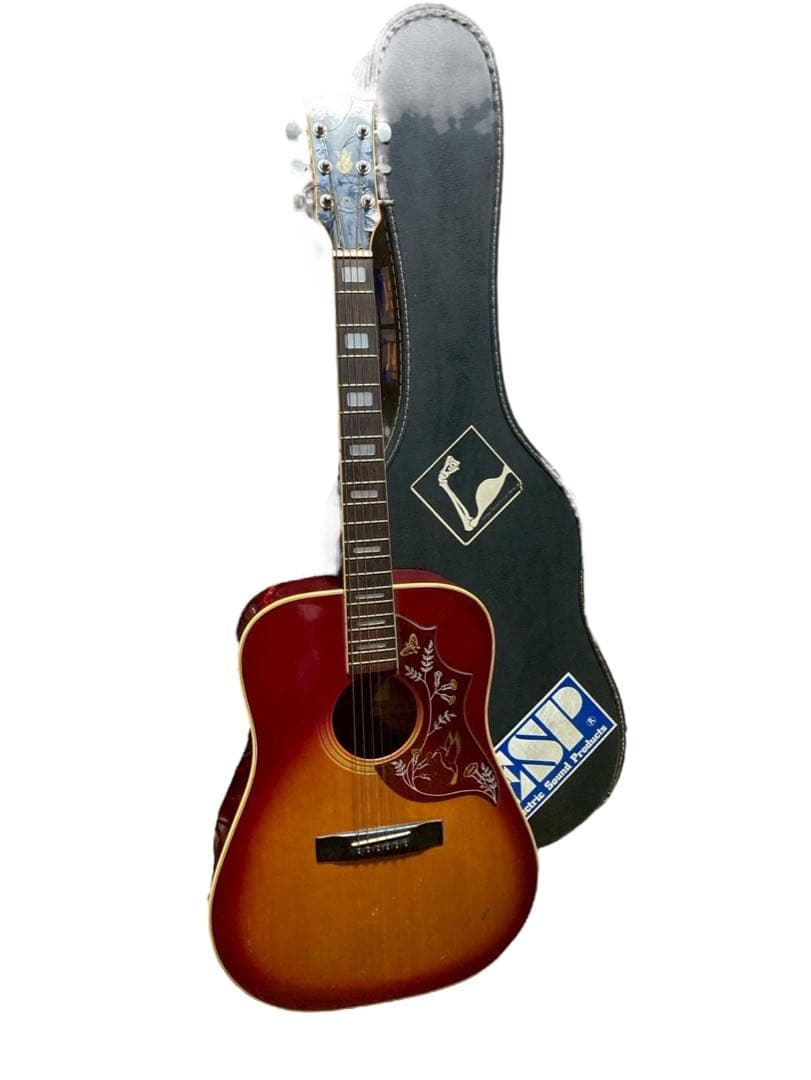 Jagard/ジャガード JD-30S ハミングバードタイプ アコギ