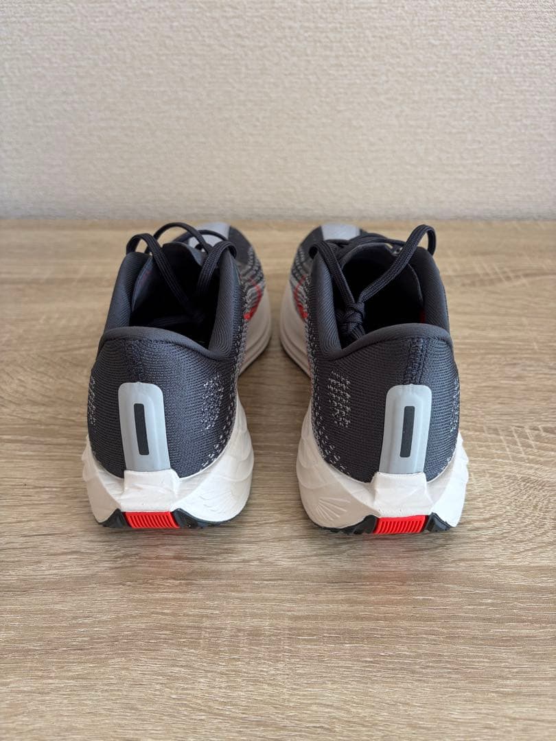 １回使用 ナイキ ペガサスプラス NIKE 25cm メンズ