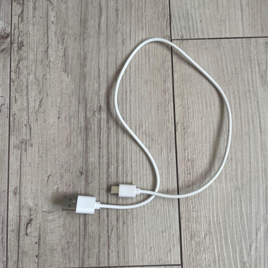 美顔器 Booster Pro