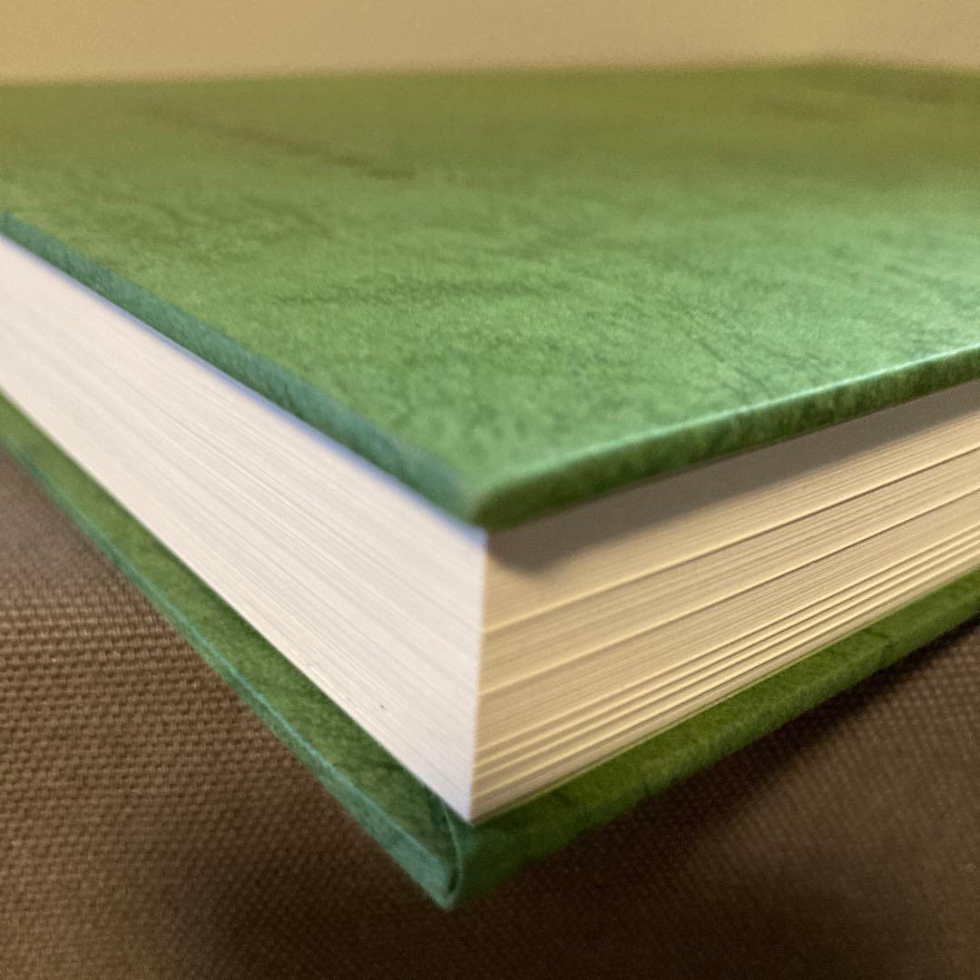 【希少】【鉄道史】【鉄道愛好家】阪和電気鉄道史　鉄道史資料保存会