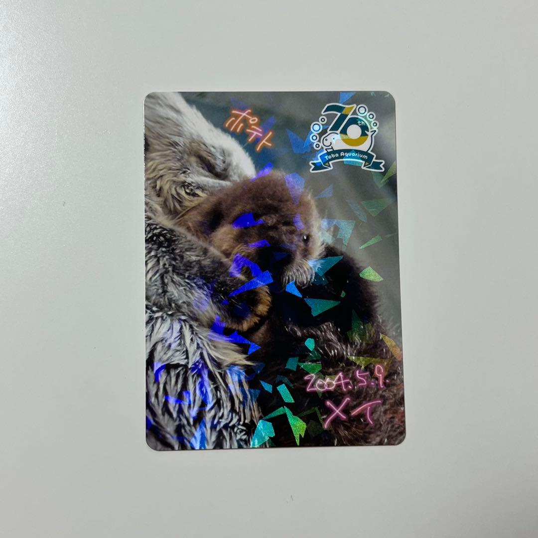 鳥羽水族館 コレクションカード レア メイちゃん