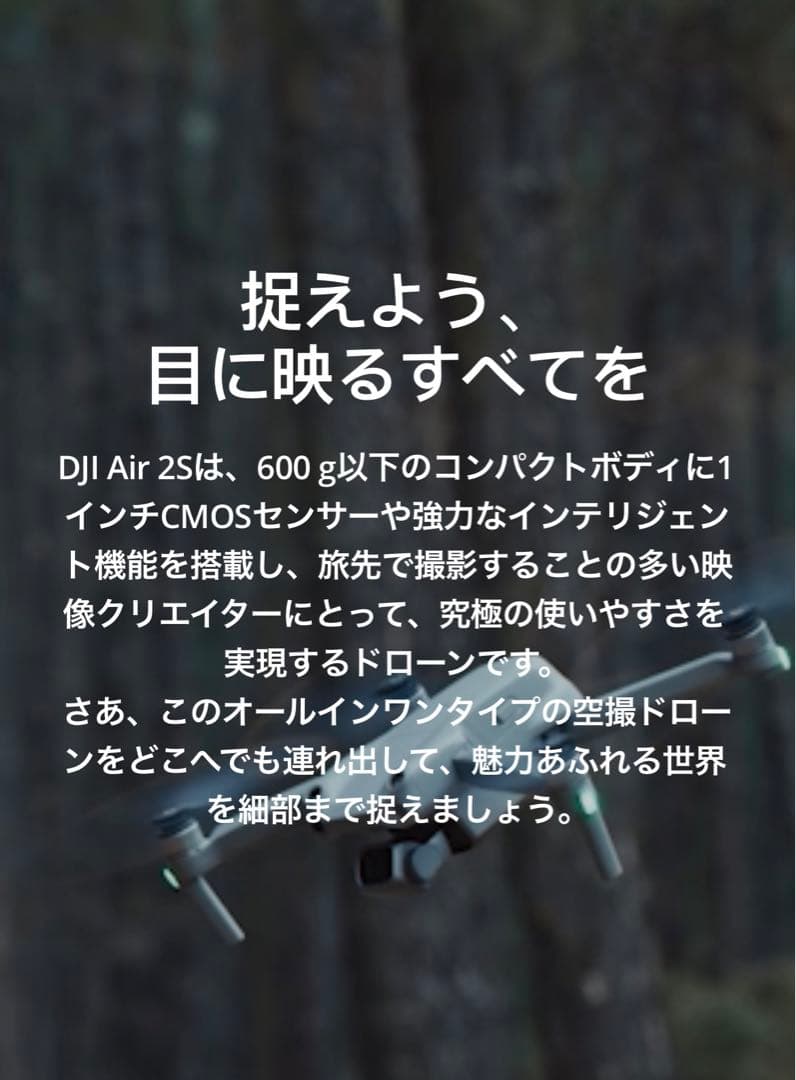 DJI Fry more ドローンAir2S(特別値下げ12/20まで)