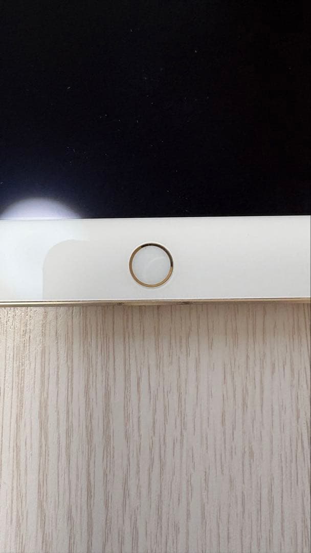 iPad本体 iPad mini4 32G