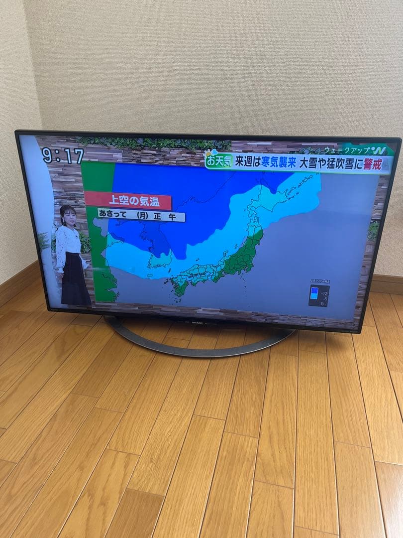 SHARP LC-40U45 40インチ液晶テレビ外付けハードディスク付き