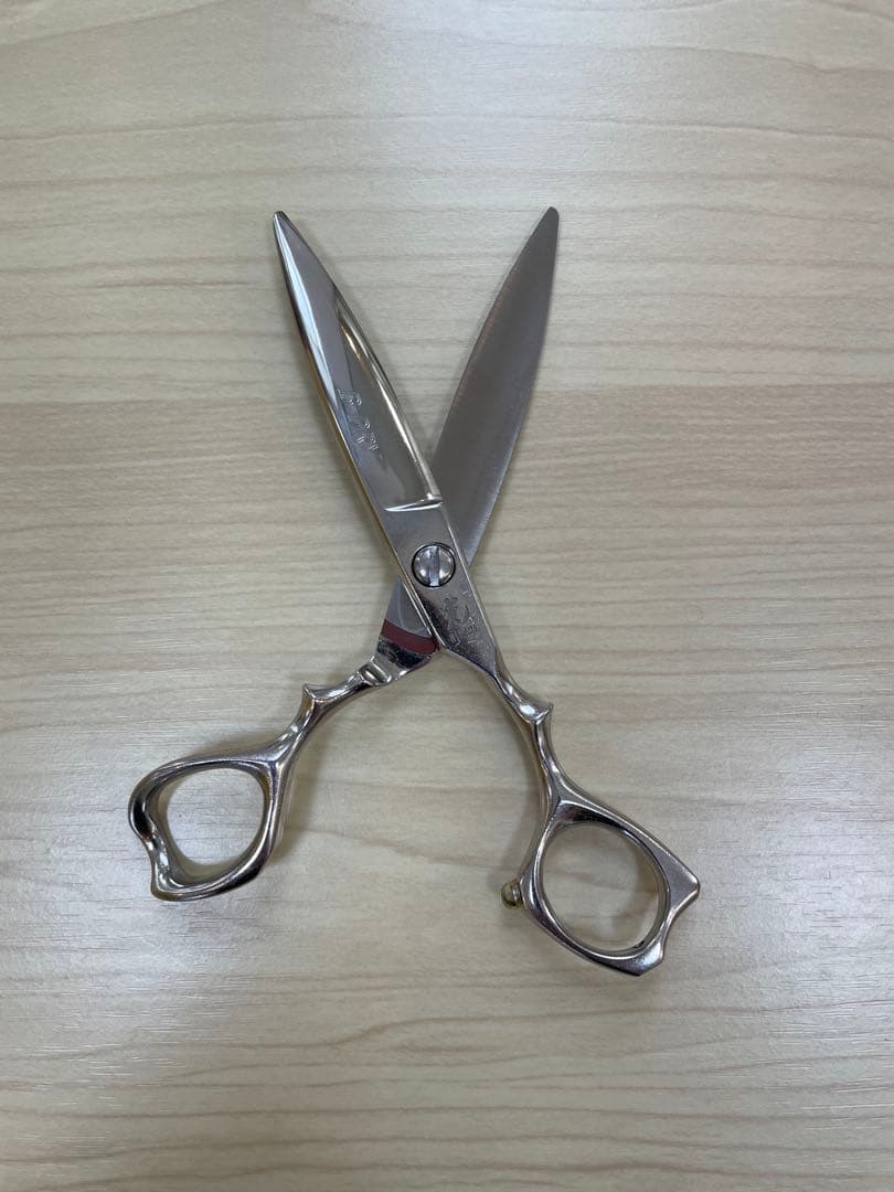 すぎさをん専用　✨光ヒカリシザー　BーDRY 163 ケース付