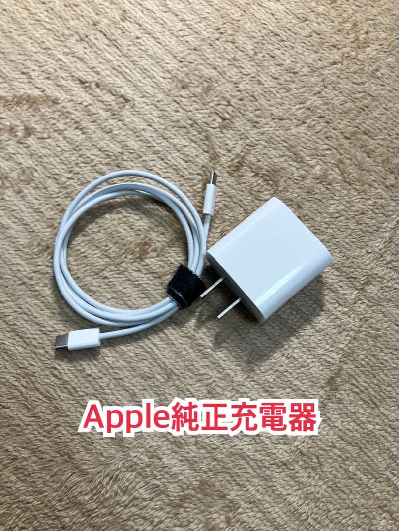 iPad Air 第5世代 256GB wifiモデル 純正ペンセット初期化済み