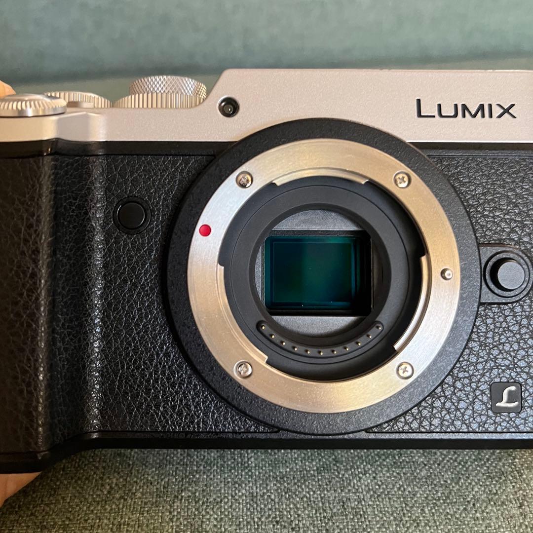 ルミックス LUMIX DMC-GX8 ボディ＋SDカード6枚＋カメラバッグ
