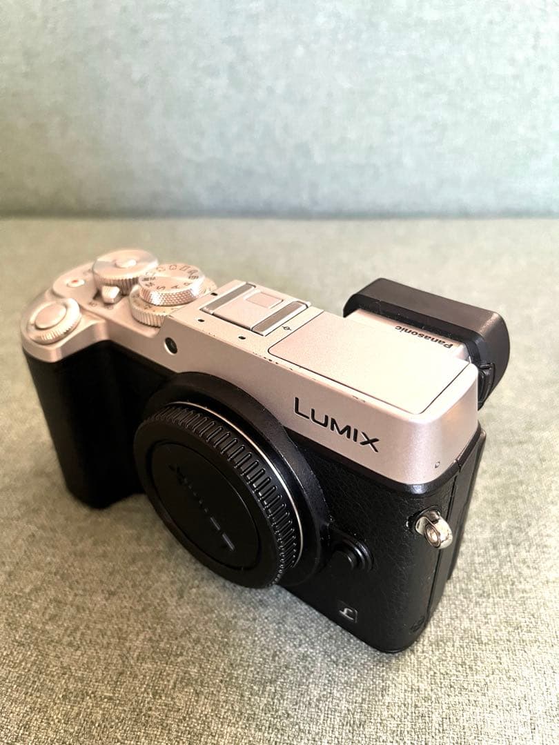 ルミックス LUMIX DMC-GX8 ボディ＋SDカード6枚＋カメラバッグ