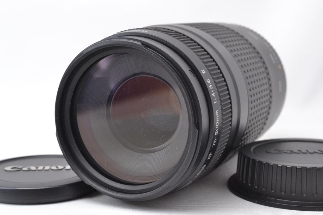 キャノン Canon EF 75-300mm F4-5.6 Ⅱ 望遠レンズ