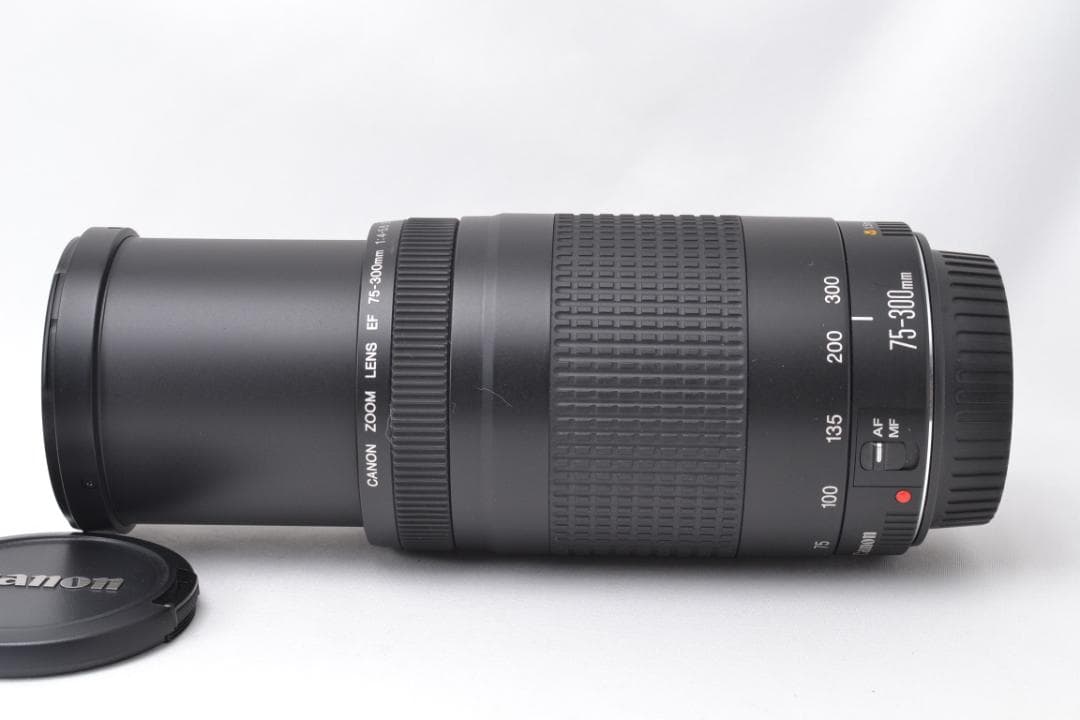 キャノン Canon EF 75-300mm F4-5.6 Ⅱ 望遠レンズ