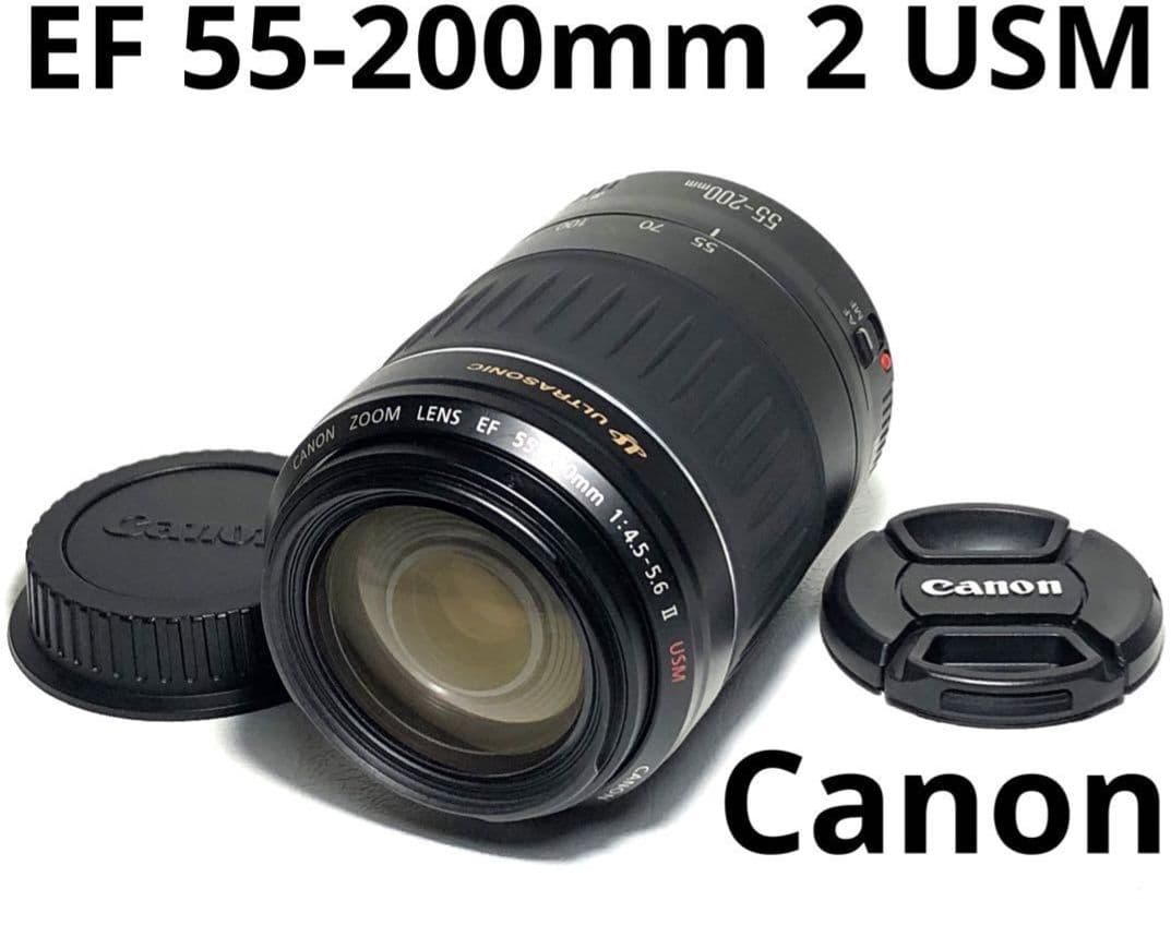 8月31日限定特価♪Canon EF 55-200mm Ⅱ USM