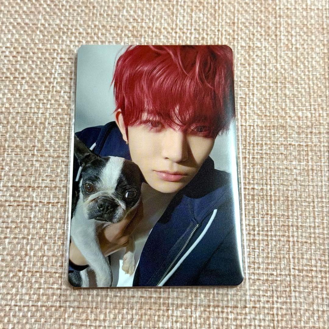 ENHYPEN 2025 アンケート 特典 FCトレカ ヒスン