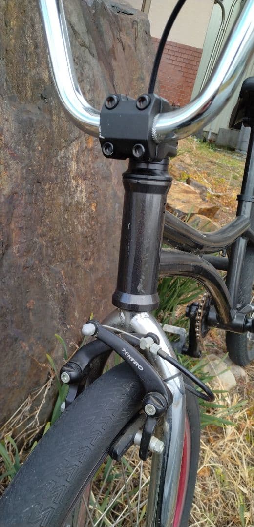 bmxerさん専用BMX マジックフルーツ