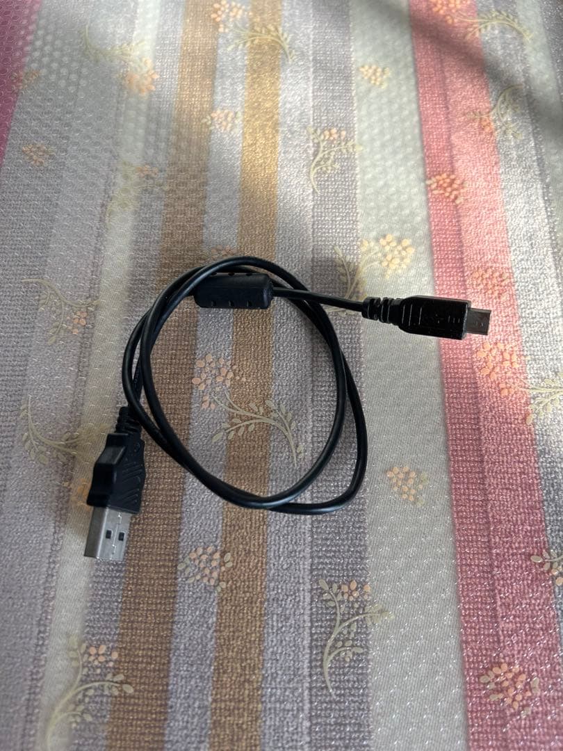 Panasonic パナソニック 4K ビデオカメラ HC-VX1M