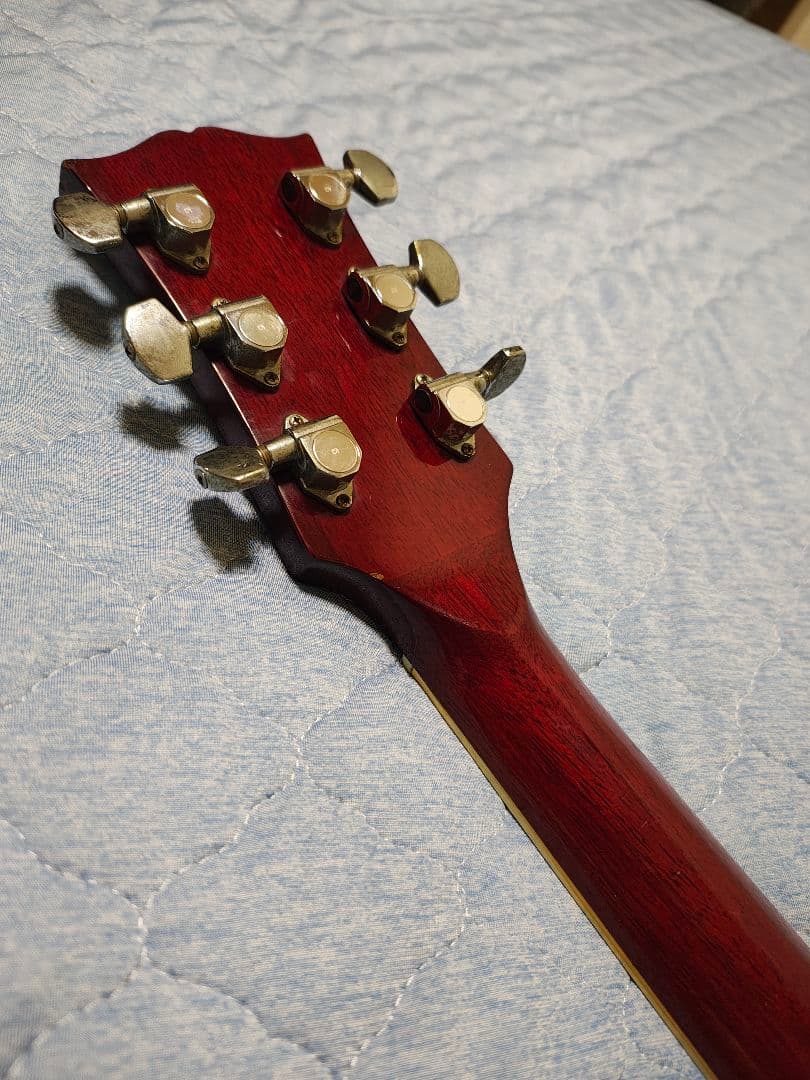 AriaハミングバードWD-33/ハードケース