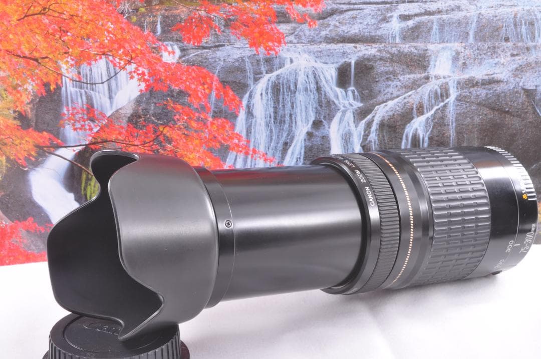 Canon キヤノン 望遠レンズ 迫力の75-300mmこの輝きを望遠で#8