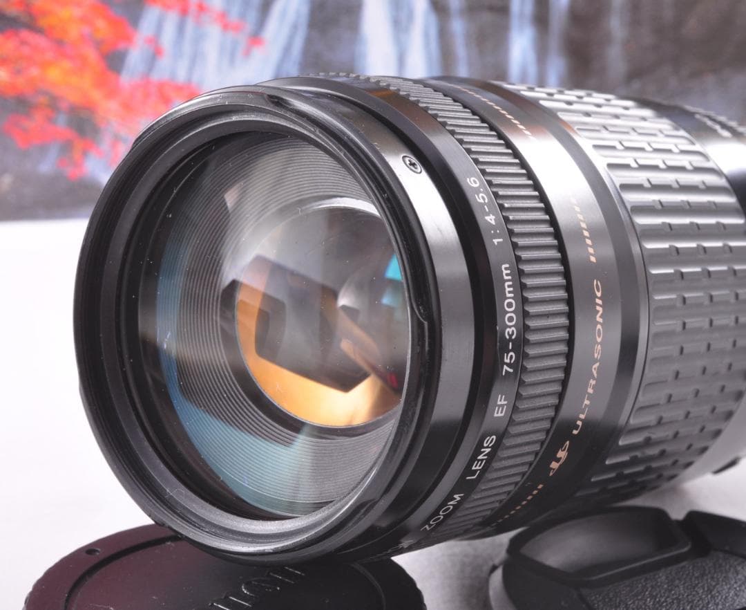 Canon キヤノン 望遠レンズ 迫力の75-300mmこの輝きを望遠で#8