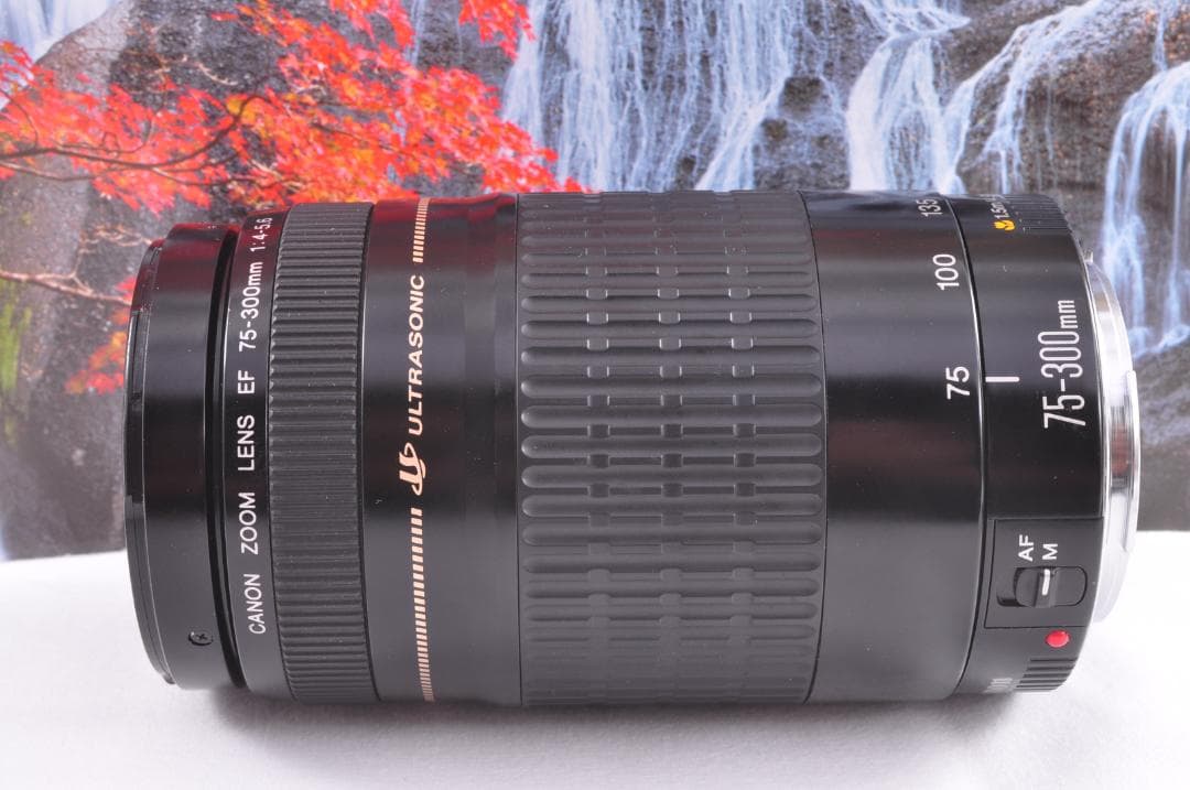 Canon キヤノン 望遠レンズ 迫力の75-300mmこの輝きを望遠で#8