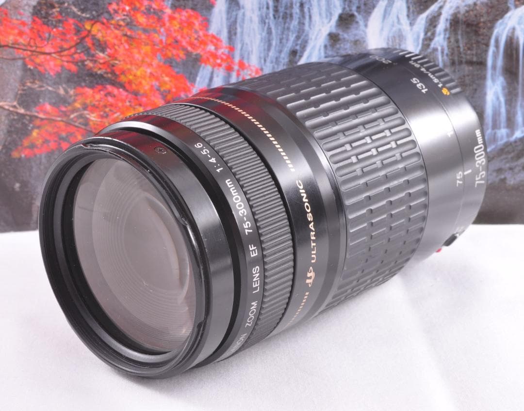 Canon キヤノン 望遠レンズ 迫力の75-300mmこの輝きを望遠で#8