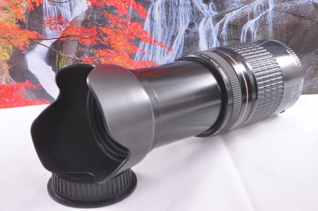 Canon キヤノン 望遠レンズ 迫力の75-300mmこの輝きを望遠で#8