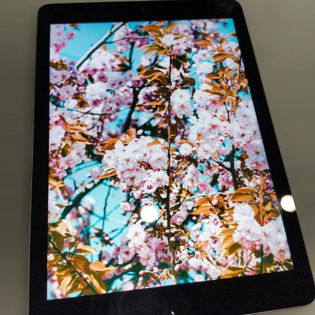 【美品】iPad 第5世代 WiFi 32GBスペースグレイ＋ペン＋充電器＋線