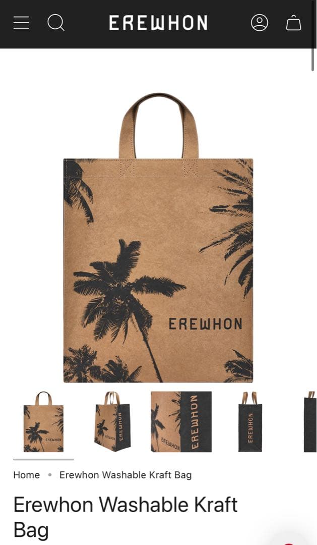 ★CHAOS★！Erewhon Washable Kraft Bag