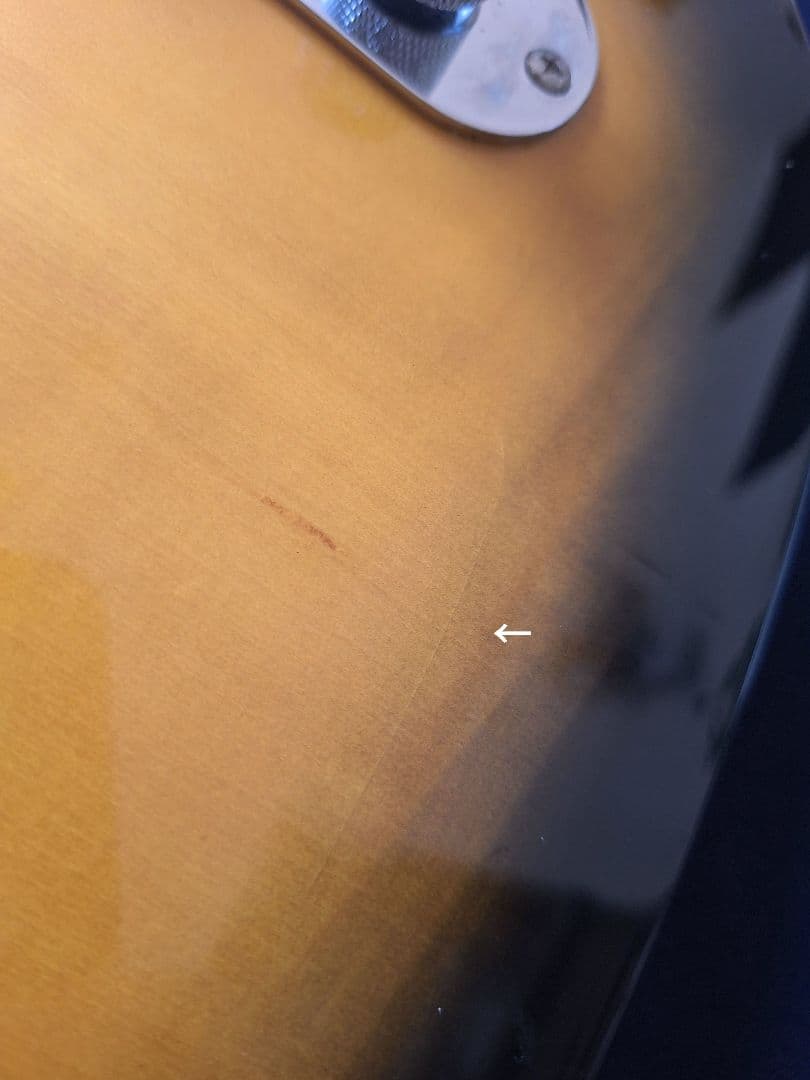 LEGEND テレキャスター タイプ 2TS フェンダーヘッド ソフトケース