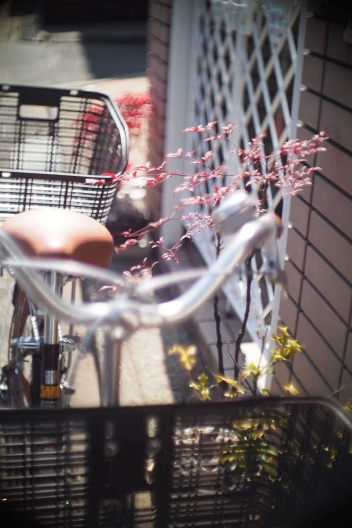 P.Angenieux 25mm f0.95 マイクロフォーサーズマウント改造