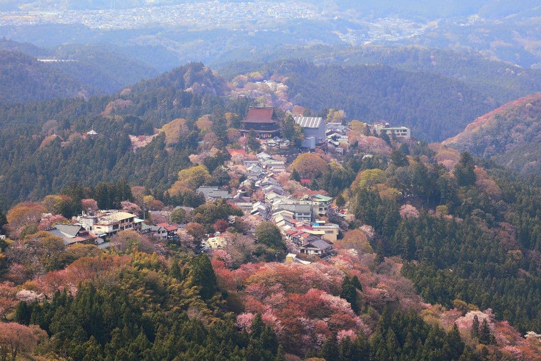 Canon ミラーレスカメラkiss-mとレンズセット