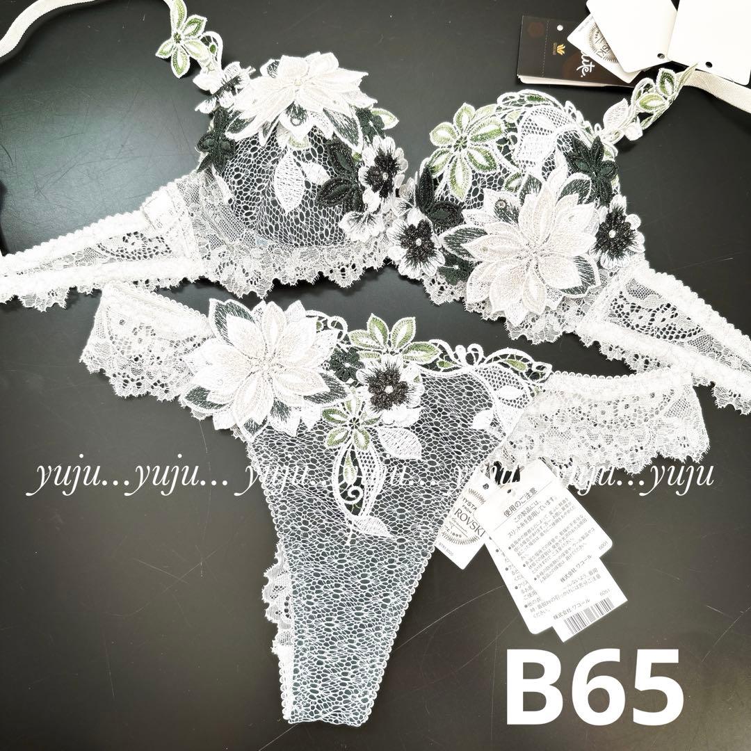 希少 サルート 24G 新品タグ付 P-upブラソングB65