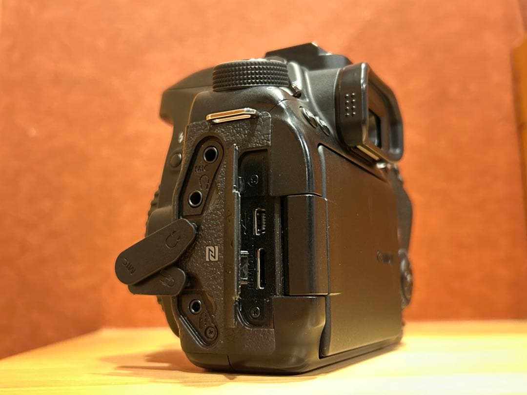 Canon EOS80d ボディ本体　おまけ本付き