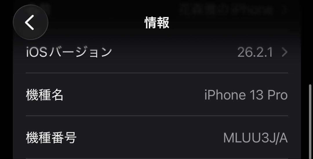 【即日発送】iPhone13Pro 256GB シエラブルー 本体 付属品多数