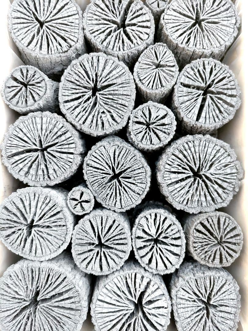 たーちん②【 伊予の切炭 】太め菊炭特選×2箱