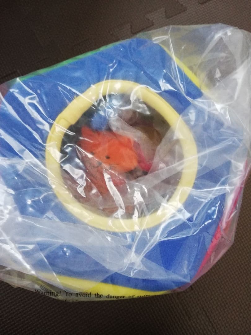 【新品未開封】DWE プレイアロング　おもちゃ