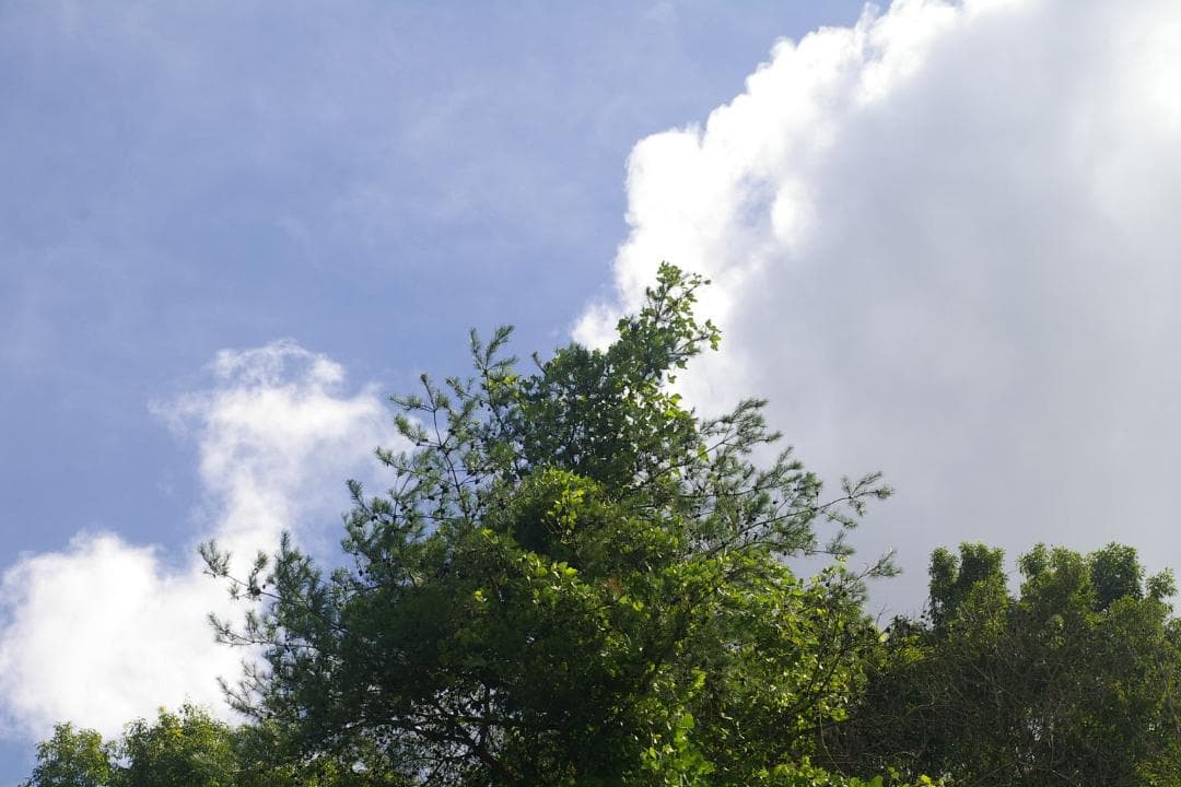 PENTAX ist DS2　18-55ズームレンズ付き