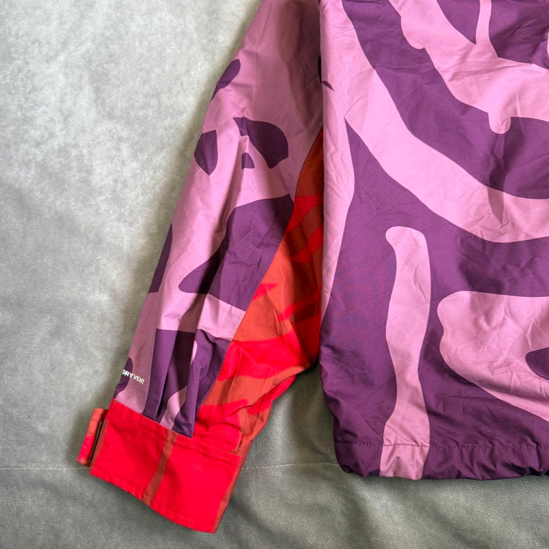 ザノースフェイス KAWS マウンテンパーカー M